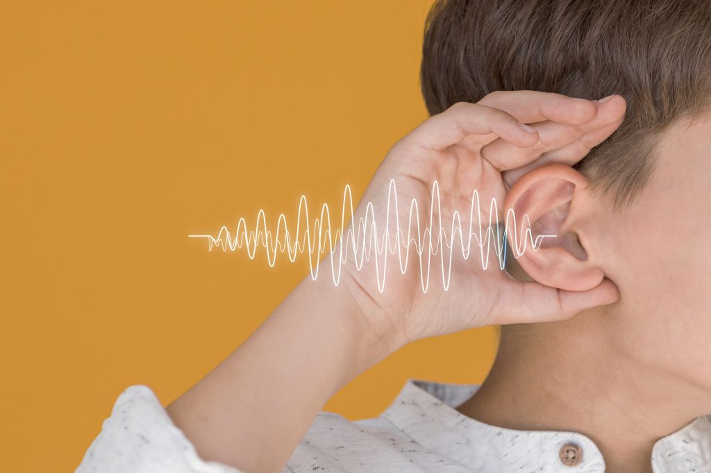 آناتومی گوش چگونه امواج صوتی را پردازش میکند 9 آناتومی گوش
